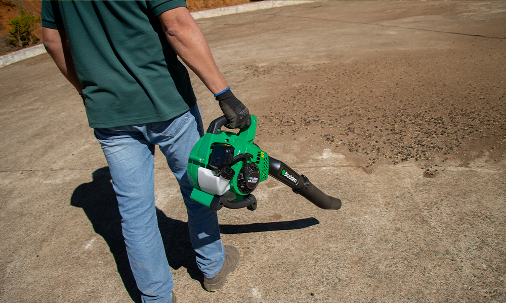 Soprador Folhas Gasolina EB-260 26cc 2 Te...