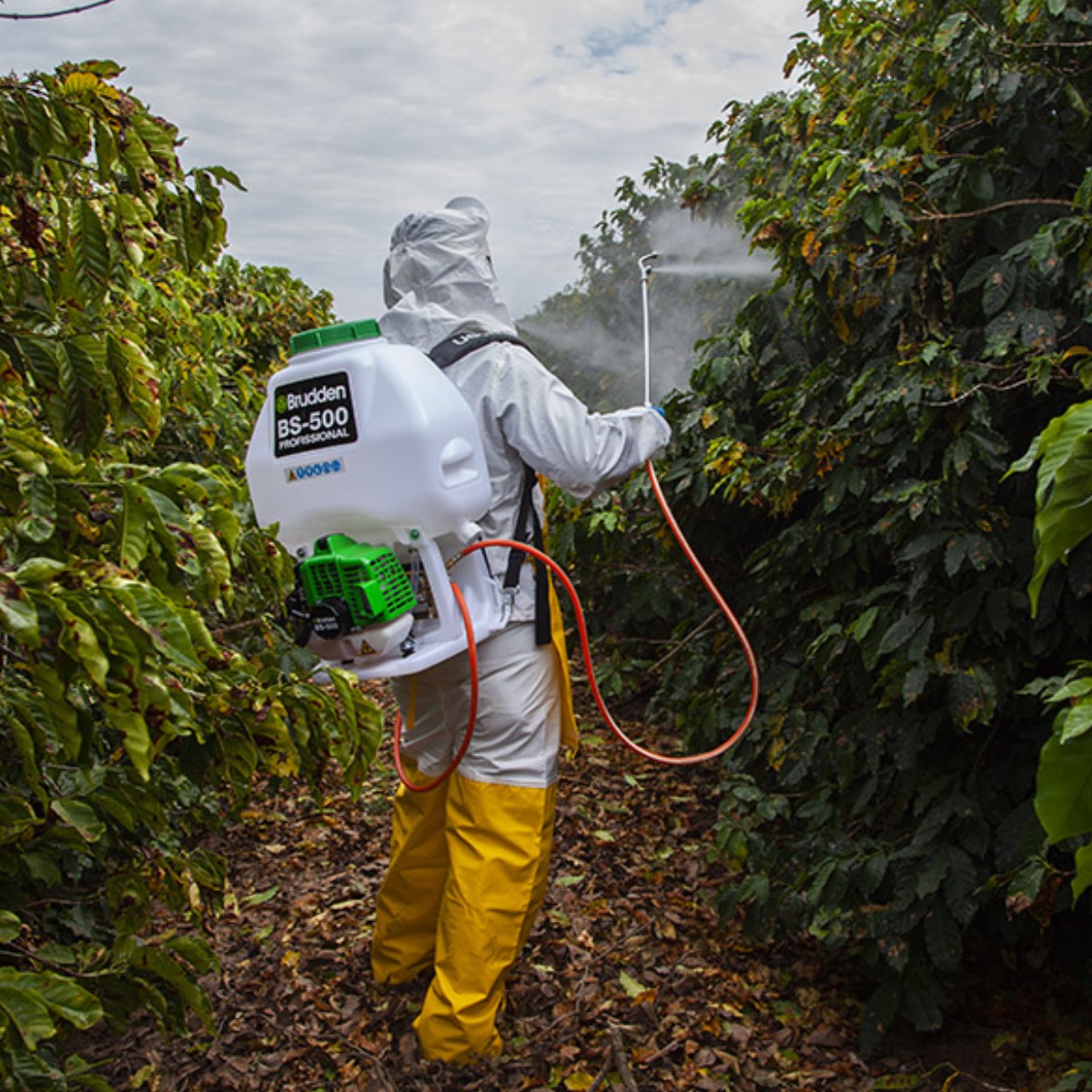 Pulverizador Costal Motorizado BS-500 -  ...