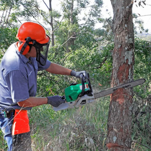 Motosserra gasolina 52cc com sabre de 18 ...